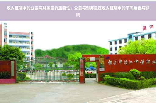 收入证明中的公章与财务章的重要性，公章与财务章在收入证明中的不同角色与影响