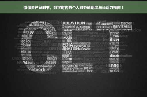 微信资产证明书，数字时代的个人财务透明度与证明力指南 ?
