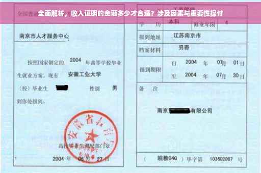 全面解析，收入证明的金额多少才合适？涉及因素与重要性探讨