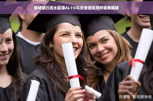 揭秘银行流水渠道ALTO与资金流向理财策略揭秘