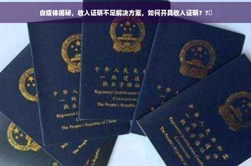 自媒体揭秘，收入证明不足解决方案，如何开具收入证明？?✨