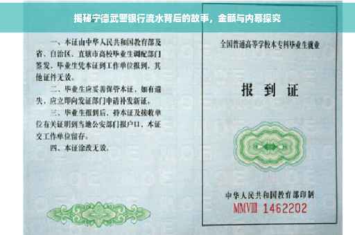 揭秘宁德武警银行流水背后的故事，金额与内幕探究