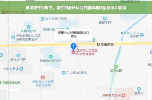 泰国变性证明书，跨性别身份认同的旅程与挑战及图片解读