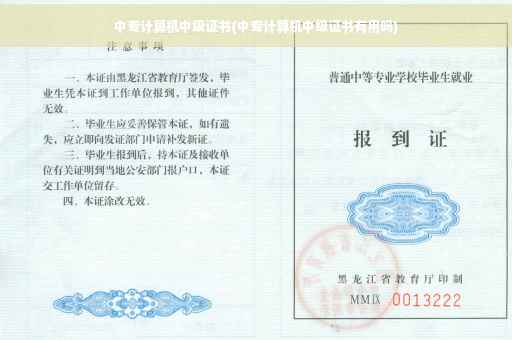 中专计算机中级证书(中专计算机中级证书有用吗)