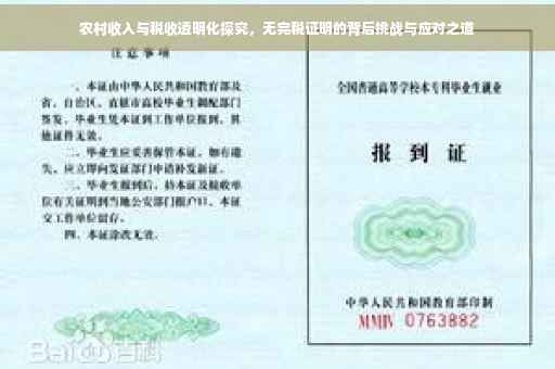农村收入与税收透明化探究，无完税证明的背后挑战与应对之道
