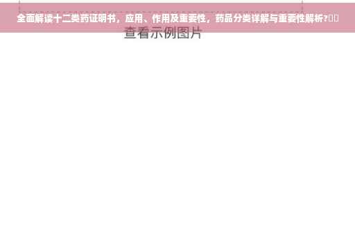 全面解读十二类药证明书，应用、作用及重要性，药品分类详解与重要性解析?⚡️