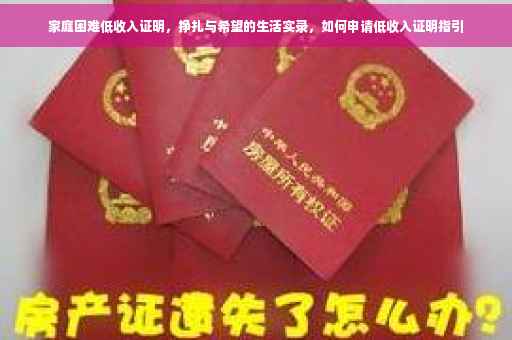 家庭困难低收入证明，挣扎与希望的生活实录，如何申请低收入证明指引