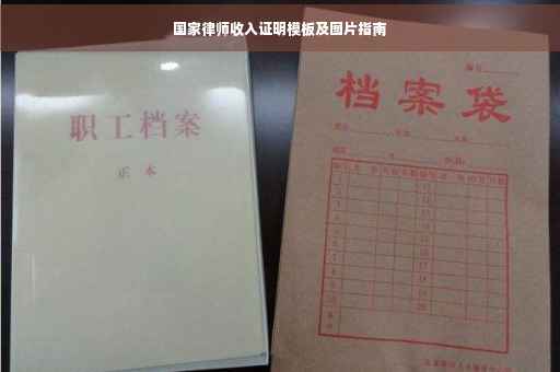 国家律师收入证明模板及图片指南