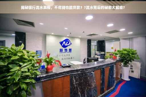 揭秘银行流水真相，不花钱也能贷款？?流水背后的秘密大解密?