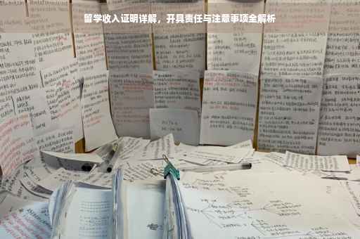 留学收入证明详解，开具责任与注意事项全解析