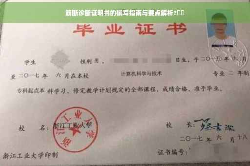 筋断诊断证明书的撰写指南与要点解析?⚕️