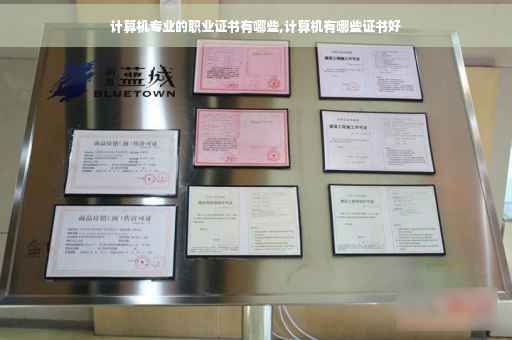 计算机专业的职业证书有哪些,计算机有哪些证书好