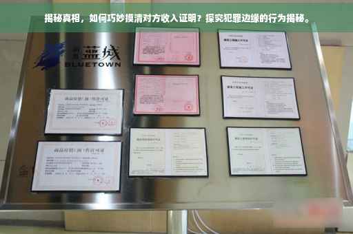 揭秘真相，如何巧妙摸清对方收入证明？探究犯罪边缘的行为揭秘。