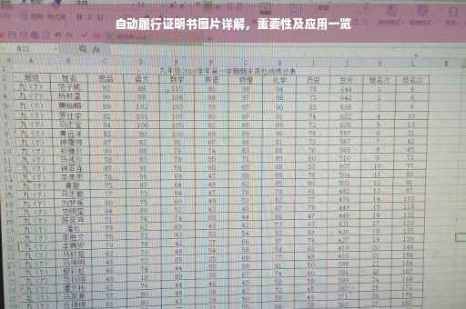 自动履行证明书图片详解，重要性及应用一览