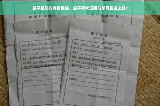 鼻子整形的真相揭秘，鼻子手术证明与美丽蝶变之路?