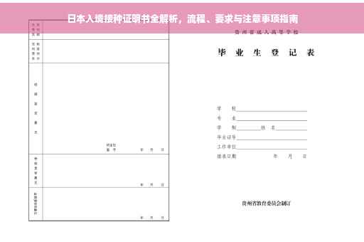 日本入境接种证明书全解析，流程、要求与注意事项指南