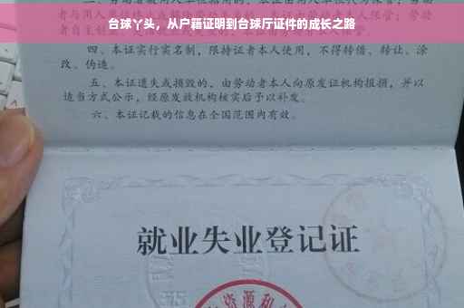 台球丫头，从户籍证明到台球厅证件的成长之路