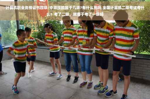 计算机职业资格证书四级/中级技能属于几级?有什么用吗,全国计算机二级考试考什么?考了二级,就等于考了一级吗 计算机职业资格证书四级/中级技能属于几级?有什么用吗,全国计算机二级考试考什么?考了二级,就等于考了一级吗
