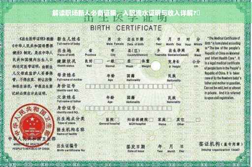 解读职场新人必备证据，入职流水证明与收入详解?✨