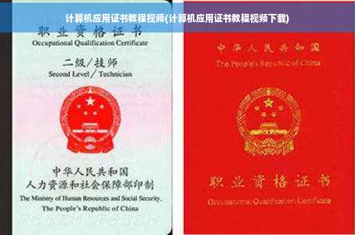 计算机应用证书教程视频(计算机应用证书教程视频下载)