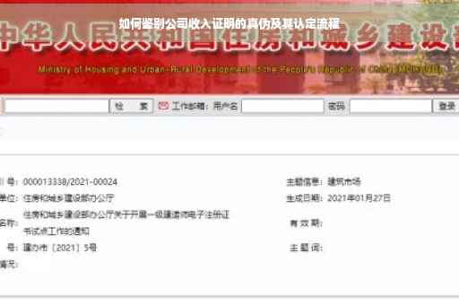 如何鉴别公司收入证明的真伪及其认定流程