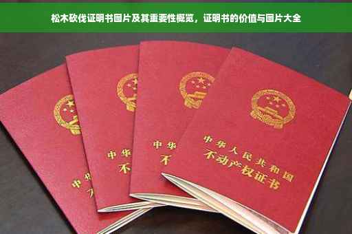 松木砍伐证明书图片及其重要性概览，证明书的价值与图片大全