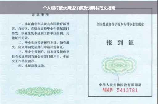 个人银行流水用途详解及说明书范文指南