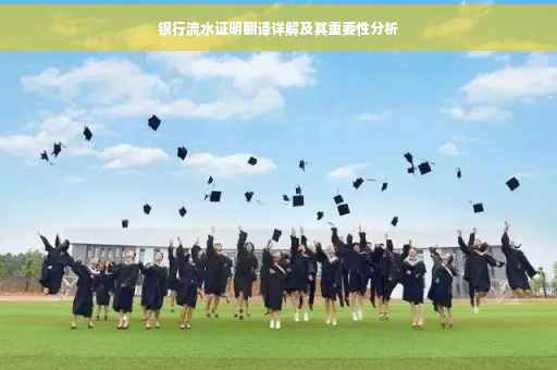 银行流水证明翻译详解及其重要性分析