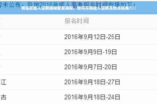 黄岛区收入证明揭秘繁荣真相，如何开具收入证明及地点指南?⚡️