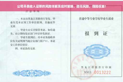 公司开具收入证明的风险详解及应对策略，防范风险，保障权益！