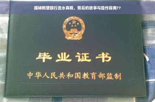 揭秘鹤壁银行流水真相，背后的故事与操作指南??