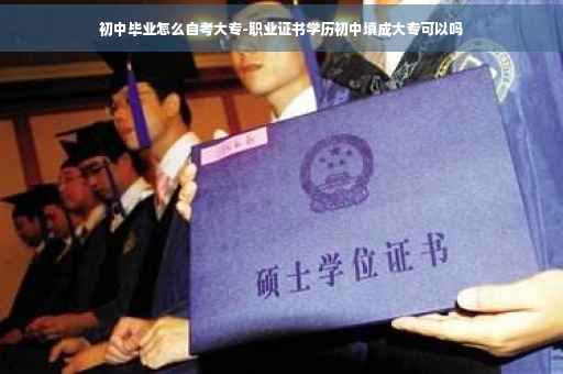 初中毕业怎么自考大专-职业证书学历初中填成大专可以吗