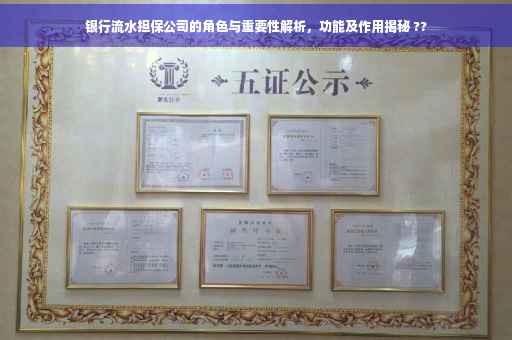 银行流水担保公司的角色与重要性解析，功能及作用揭秘 ??