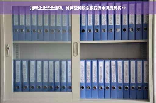 揭秘企业资金运转，如何查询股东银行流水深度解析??