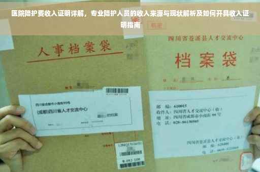医院陪护费收入证明详解，专业陪护人员的收入来源与现状解析及如何开具收入证明指南