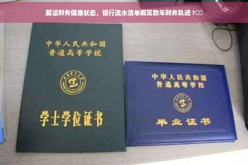 解读财务健康状态，银行流水清单概览数年财务轨迹 ?⚡️