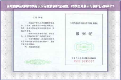 濒危物种证明书样本揭示珍稀生物保护紧迫性，样本图片展示与保护行动呼吁??