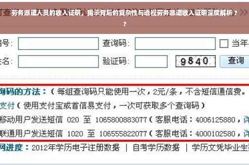 劳务派遣人员的收入证明，揭示背后的复杂性与透视劳务派遣收入证明深度解析 ??