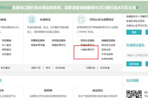 揭秘沌口银行流水背后的故事，深度洞察金融脉络与汉口银行流水打印指南