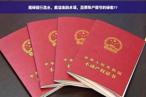 揭秘银行流水，解读金融术语，洞悉账户细节的秘密??