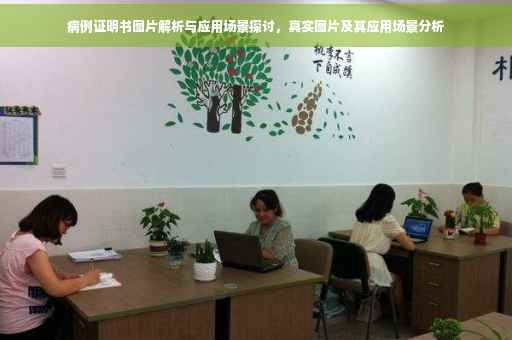病例证明书图片解析与应用场景探讨，真实图片及其应用场景分析