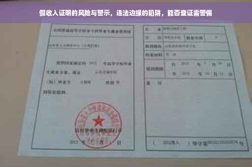 假收入证明的风险与警示，违法边缘的陷阱，能否查证需警惕