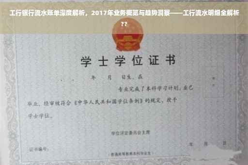 工行银行流水账单深度解析，2017年业务概览与趋势洞察——工行流水明细全解析??