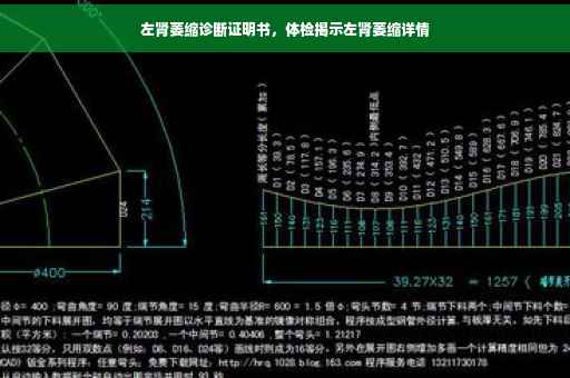 左肾萎缩诊断证明书，体检揭示左肾萎缩详情