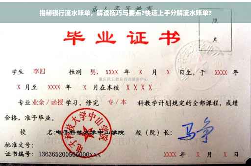 揭秘银行流水账单，解读技巧与要点?快速上手分解流水账单?