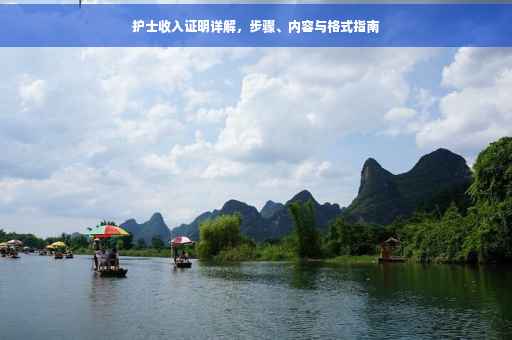 护士收入证明详解，步骤、内容与格式指南