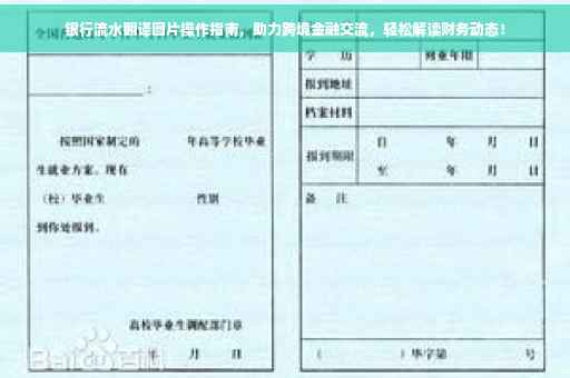 银行流水翻译图片操作指南，助力跨境金融交流，轻松解读财务动态！