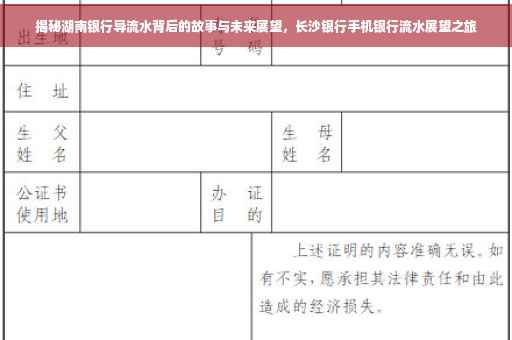 揭秘湖南银行导流水背后的故事与未来展望，长沙银行手机银行流水展望之旅