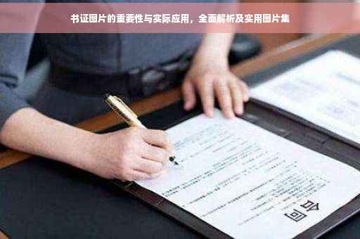 书证图片的重要性与实际应用，全面解析及实用图片集