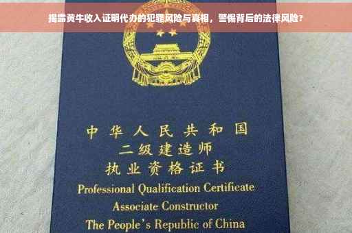 揭露黄牛收入证明代办的犯罪风险与真相，警惕背后的法律风险?